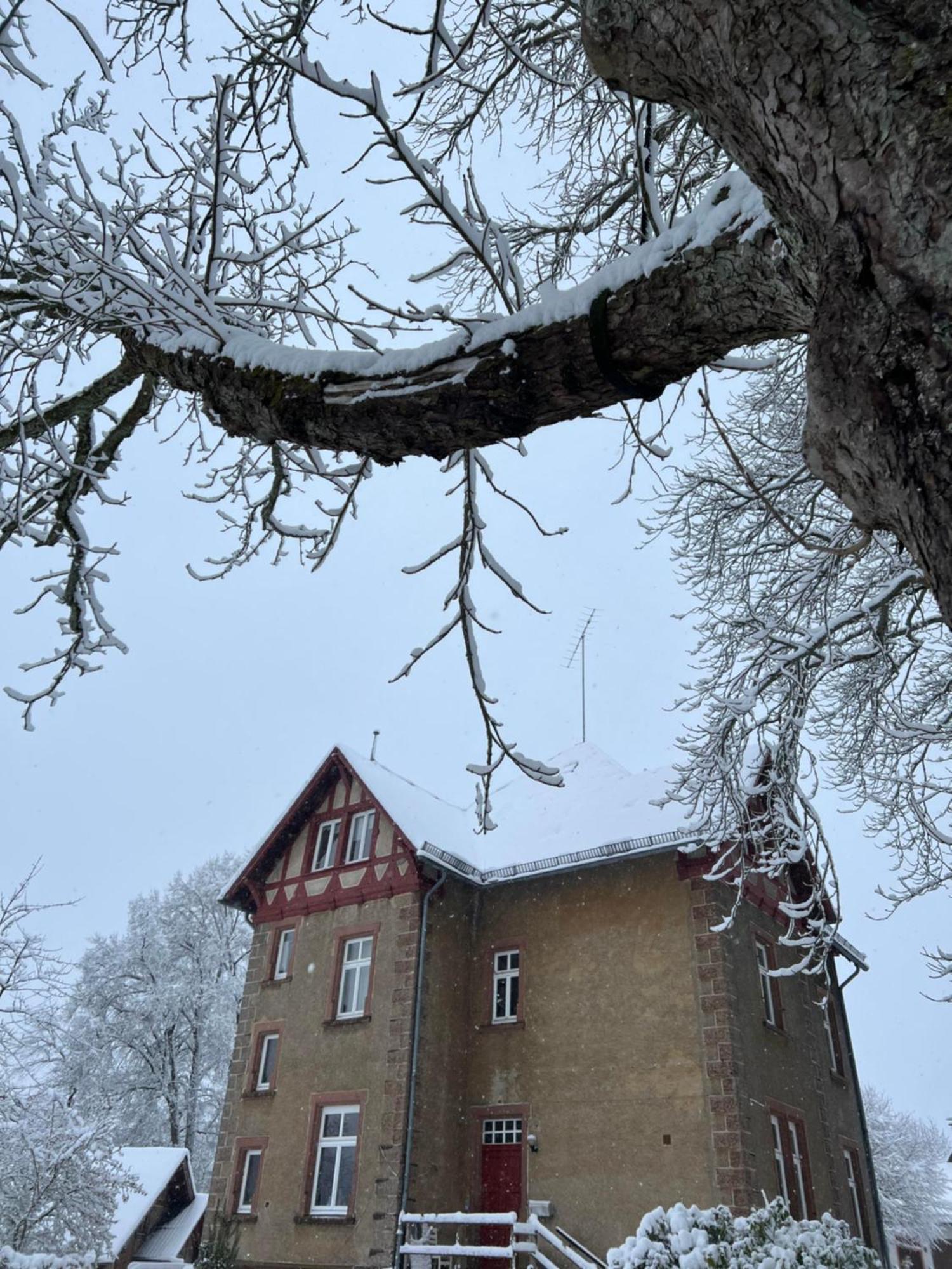 L' Extravagante Im Garten Von Schloss Schmidtheim Exterior foto